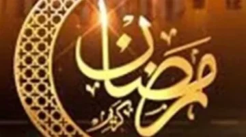 أسباب إقرار الدستور المصري لمبدأ شخصية العقوبة وتأثير ذلك على الفرد والجماعة